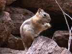 2007-0613-1340-06.jpg